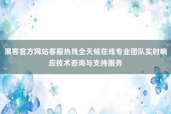 黑客官方网站客服热线全天候在线专业团队实时响应技术咨询与支持服务