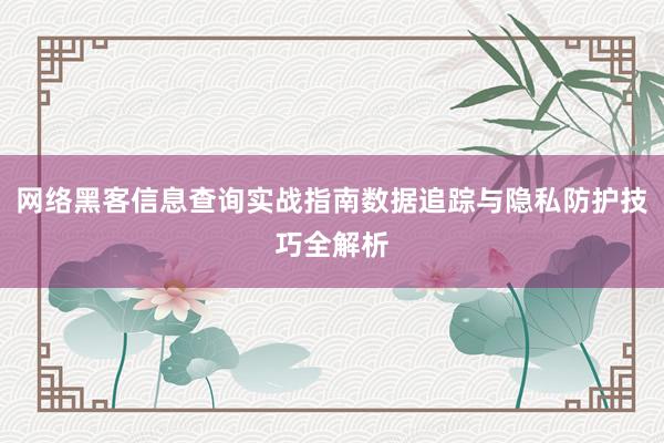 网络黑客信息查询实战指南数据追踪与隐私防护技巧全解析
